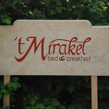 't Mirakel 3*